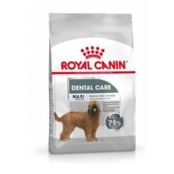 Royal Canin CCN Dental Care Maxi -Artículos Mascotas Tienda maxi dent ccn18 packshot med res basic 7