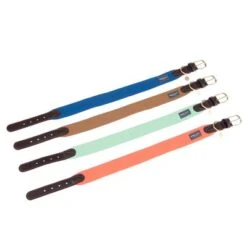 Collar Nomad Tales Bloom Caramelo Para Perros -Artículos Mascotas Tienda nomad tales bloom halsbaender fg 1487 3