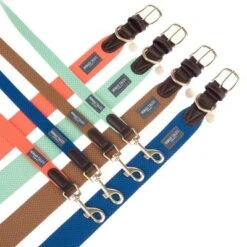 Collar Nomad Tales Bloom Caramelo Para Perros -Artículos Mascotas Tienda nomad tales bloom halsbaender fg 1502 8