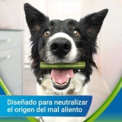 PURINA Dentalife Active Fresh Snacks Dentales Para Perros Pequeños -Artículos Mascotas Tienda objective 5