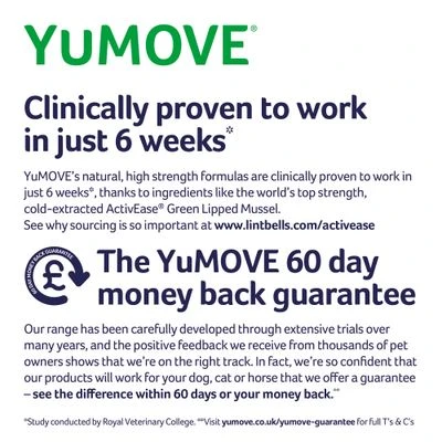 YuMOVE Comprimidos Cuidado Articular Para Perros Senior 7 YuMOVE Comprimidos Cuidado Articular Para Perros Senior - Imagen 5