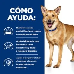 Hill's I/d Prescription Diet Latas Para Perros -Artículos Mascotas Tienda pd id dog bk30978m bk31617 bk30920 how helps es 6