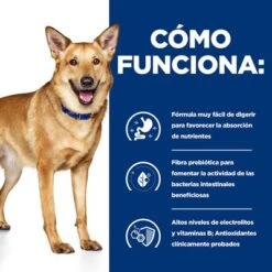 Hill's I/d Prescription Diet Digestive Care Estofado Para Perros -Artículos Mascotas Tienda pd id dog bk33557 how works es 1