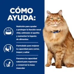 Hill's K/d + Mobility Prescription Diet Bolsitas Para Gatos -Artículos Mascotas Tienda pd kd mobility cat bk24069m bk27533m how helps es 4