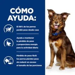 Hill's Metabolic Con Cordero Prescription Diet Pienso Para Perros -Artículos Mascotas Tienda pd merabolic dog bk32929 bk27893m bk32064m bk21343 bk21344 how helps es 4