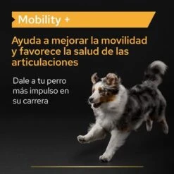 PRO PLAN Dog Adult Mobility Supplement En Polvo 16 PRO PLAN Dog Adult Mobility Supplement En Polvo -Artículos Mascotas Tienda pu supplementals atf mobility a 220513 es es 6