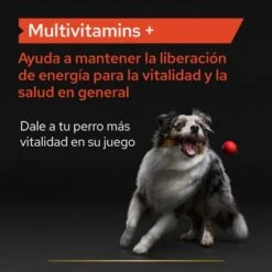 PRO PLAN Dog Adult Multivitamins Supplement Comprimidos -Artículos Mascotas Tienda pu supplementals atf multivitamins dog a 220513 es es 9