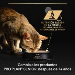 PURINA PRO PLAN Cat Delicate 24 X 85 G En Latas 15 PURINA PRO PLAN Cat Delicate 24 X 85 G En Latas -Artículos Mascotas Tienda puprpnwcadvhenocach23junbocrem 2