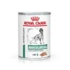 Royal Canin Veterinary Canine Diabetic Special Low Carb Mousse -Artículos Mascotas Tienda rc5171 1 8