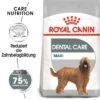 Royal Canin CCN Dental Care Maxi 1 Royal Canin CCN Dental Care Maxi -Artículos Mascotas Tienda rc ccn dentalmaxi mv eretailkit de de 1