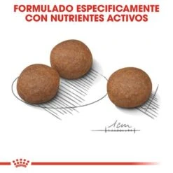 Royal Canin Medium Digestive Care -Artículos Mascotas Tienda rc ccn digestivemedium cv eretailkit 5 es es 8