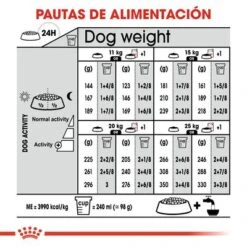 Royal Canin Medium Digestive Care -Artículos Mascotas Tienda rc ccn digestivemedium cv eretailkit 7 es es 3