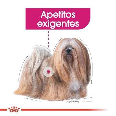 Royal Canin Mini Exigent 5 Royal Canin Mini Exigent - Imagen 3