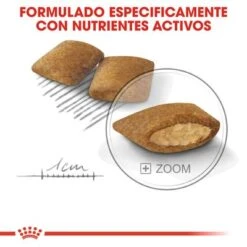 Royal Canin Mini Exigent 17 Royal Canin Mini Exigent -Artículos Mascotas Tienda rc ccn exigentmini cv eretailkit 5 es es 3