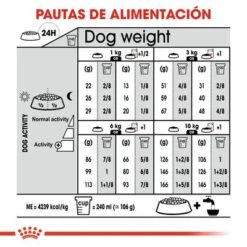Royal Canin Mini Exigent 14 Royal Canin Mini Exigent -Artículos Mascotas Tienda rc ccn exigentmini cv eretailkit 7 es es 5