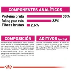 Royal Canin Mini Exigent 13 Royal Canin Mini Exigent -Artículos Mascotas Tienda rc ccn exigentmini cv eretailkit 8 es es 4