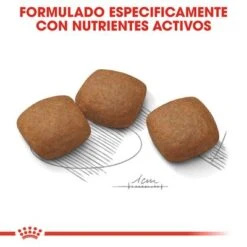 Royal Canin Maxi Joint Care -Artículos Mascotas Tienda rc ccn jointcaremaxi cv eretailkit 5 es es 9