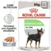 Royal Canin CCN Digestive Care Mousse Para Perros 2 Royal Canin CCN Digestive Care Mousse Para Perros -Artículos Mascotas Tienda rc ccn wet digestive mv eretailkit es es 4