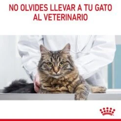 Royal Canin Hair & Skin Care En Salsa -Artículos Mascotas Tienda rc fcn hairskinpouchgravy 13 es es 9