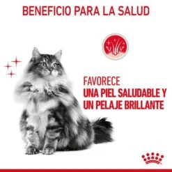 Royal Canin Hair & Skin Care En Salsa -Artículos Mascotas Tienda rc fcn hairskinpouchgravy 6 es es 4