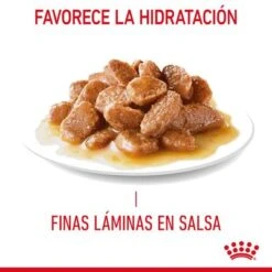 Royal Canin Hair & Skin Care En Salsa -Artículos Mascotas Tienda rc fcn hairskinpouchgravy 7 es es 7