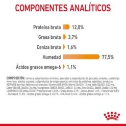 Royal Canin Hair & Skin Care En Salsa -Artículos Mascotas Tienda rc fcn hairskinpouchgravy 9 es es 1