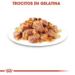 Royal Canin Instinctive En Gelatina -Artículos Mascotas Tienda rc fhn 2 9