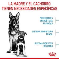 Royal Canin Maxi Starter -Artículos Mascotas Tienda rc spt dry maxistart cv 2 es es 4