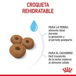 Royal Canin Maxi Starter -Artículos Mascotas Tienda rc spt dry maxistart cv 4 es es 5