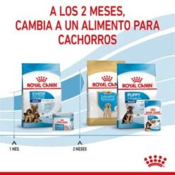 Royal Canin Maxi Starter -Artículos Mascotas Tienda rc spt dry maxistart cv 5 es es 1