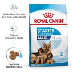 Royal Canin Maxi Starter -Artículos Mascotas Tienda rc spt dry maxistart mv 1 es es 3