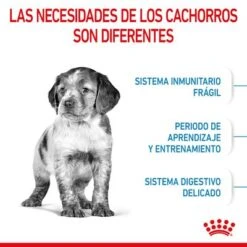 Royal Canin Medium Puppy 17 Royal Canin Medium Puppy -Artículos Mascotas Tienda rc spt dry mediumpuppy cv 2 es es 0