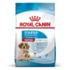 Royal Canin Medium Starter -Artículos Mascotas Tienda rc spt dry mediumstart mv 2 es es 9