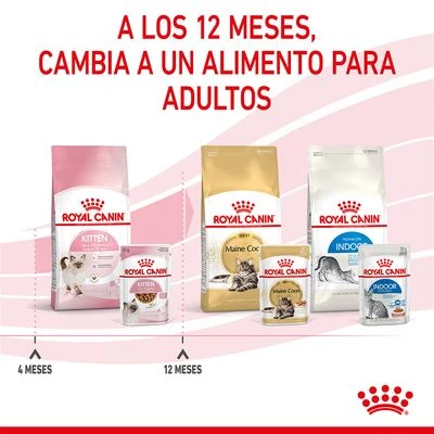 Royal Canin Kitten Instinctive En Salsa - Imagen 9