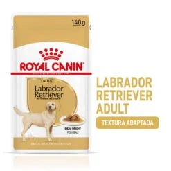 Royal Canin Breed Labrador Retriever En Salsa