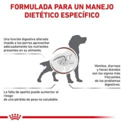 Royal Canin Veterinary Canine Gastro Intestinal Pienso Para Perros 11 Royal Canin Veterinary Canine Gastro Intestinal Pienso Para Perros -Artículos Mascotas Tienda rc vet dry doggastro cv eretailkit 2 es es 8