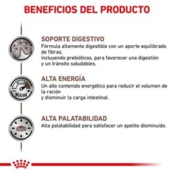 Royal Canin Veterinary Canine Gastro Intestinal Pienso Para Perros 13 Royal Canin Veterinary Canine Gastro Intestinal Pienso Para Perros -Artículos Mascotas Tienda rc vet dry doggastro cv eretailkit 4 es es 6