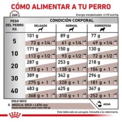 Royal Canin Veterinary Canine Gastro Intestinal Pienso Para Perros 14 Royal Canin Veterinary Canine Gastro Intestinal Pienso Para Perros -Artículos Mascotas Tienda rc vet dry doggastro cv eretailkit 6 es es 0