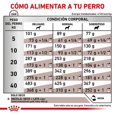 Royal Canin Veterinary Canine Gastro Intestinal Pienso Para Perros 7 Royal Canin Veterinary Canine Gastro Intestinal Pienso Para Perros - Imagen 5