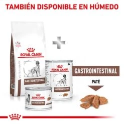 Royal Canin Veterinary Canine Gastro Intestinal Pienso Para Perros 16 Royal Canin Veterinary Canine Gastro Intestinal Pienso Para Perros -Artículos Mascotas Tienda rc vet dry doggastro cv eretailkit 8 es es 1