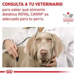 Royal Canin Veterinary Canine Hypoallergenic Moderate Calorie -Artículos Mascotas Tienda rc vet dry doghypomc cv eretailkit 6 es es 4