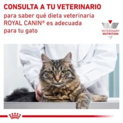 Royal Canin Veterinary Feline Diabetic -Artículos Mascotas Tienda rc vet wet catdiabetic tsig cv eretailkit 7 es es 2