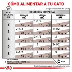 Royal Canin Veterinary Feline Gastro Intestinal Húmeda Para Gatos 14 Royal Canin Veterinary Feline Gastro Intestinal Húmeda Para Gatos -Artículos Mascotas Tienda rc vet wet catgastromig cv eretailkit 4 es es 0