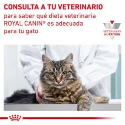 Royal Canin Veterinary Feline Gastro Intestinal Húmeda Para Gatos 17 Royal Canin Veterinary Feline Gastro Intestinal Húmeda Para Gatos -Artículos Mascotas Tienda rc vet wet catgastromig cv eretailkit 7 es es 4