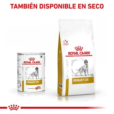 Royal Canin Veterinary Canine Urinary S/O Mousse 7 Royal Canin Veterinary Canine Urinary S/O Mousse - Imagen 5