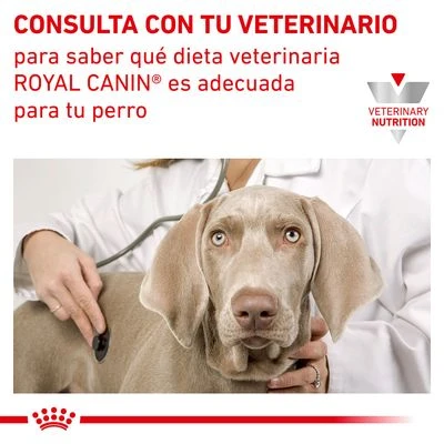 Royal Canin Veterinary Canine Urinary S/O Mousse 8 Royal Canin Veterinary Canine Urinary S/O Mousse - Imagen 6