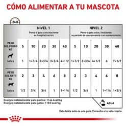 Royal Canin Veterinary Canine Recovery Mousse Perros Y Gatos -Artículos Mascotas Tienda rc vet wet mixrecov200g cv eretailkit 4 es es 3