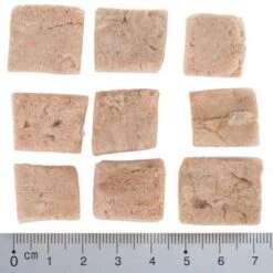 Pack De Prueba Mixto: Wolf Of Wilderness Snacks Liofilizados Premium 26 Pack De Prueba Mixto: Wolf Of Wilderness Snacks Liofilizados Premium -Artículos Mascotas Tienda wow fd snack blue river cubes with ruler 4 1