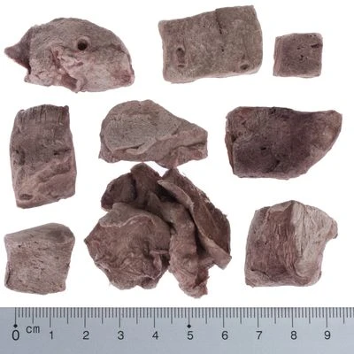 Pack De Prueba Mixto: Wolf Of Wilderness Snacks Liofilizados Premium 13 Pack De Prueba Mixto: Wolf Of Wilderness Snacks Liofilizados Premium - Imagen 11