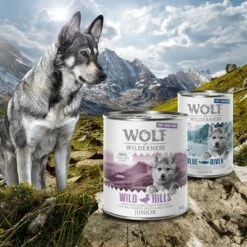 Wolf Of Wilderness Free Range Junior 6 X 400 G -Artículos Mascotas Tienda zop 21 048 wow nafu junior 800g 400g mood 4